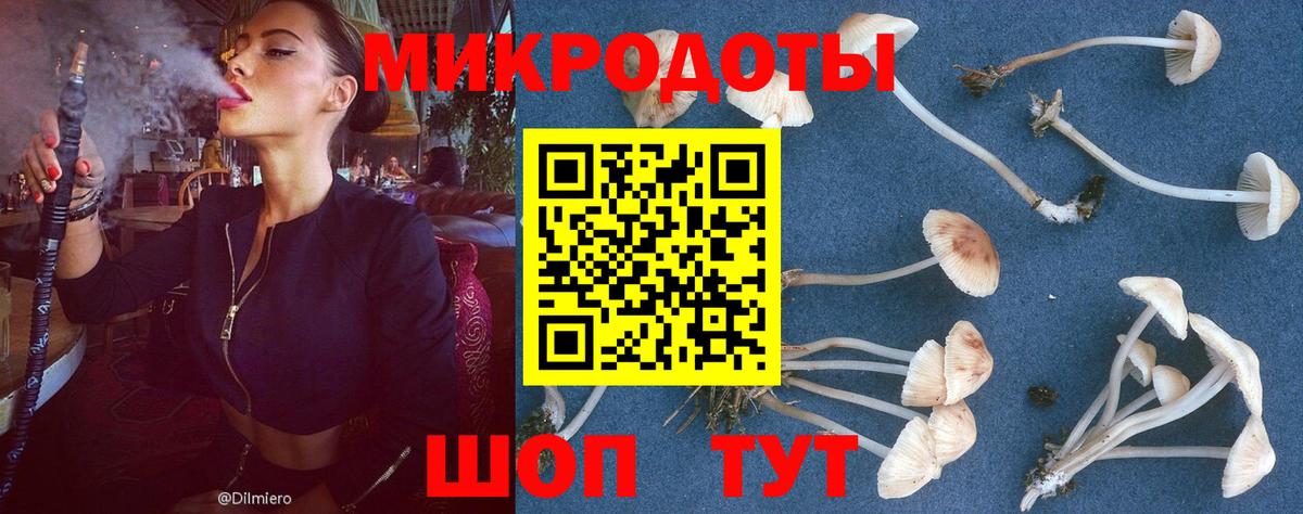 Псилоцибиновые грибы Psilocybine cubensis Чебаркуль