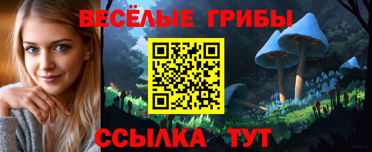 Чебаркуль  Галлюциногенные грибы прущие грибы  магазин  наркотиков  Вход с VPN 